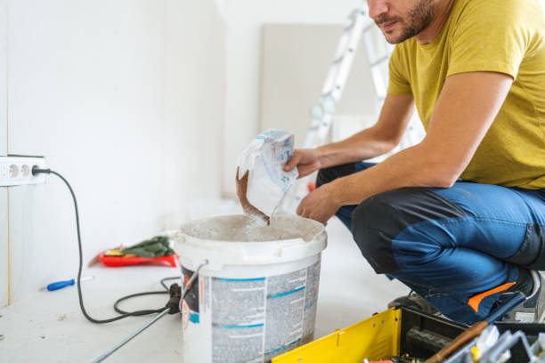 Best Black Mold Removal  in Atkinson, IL