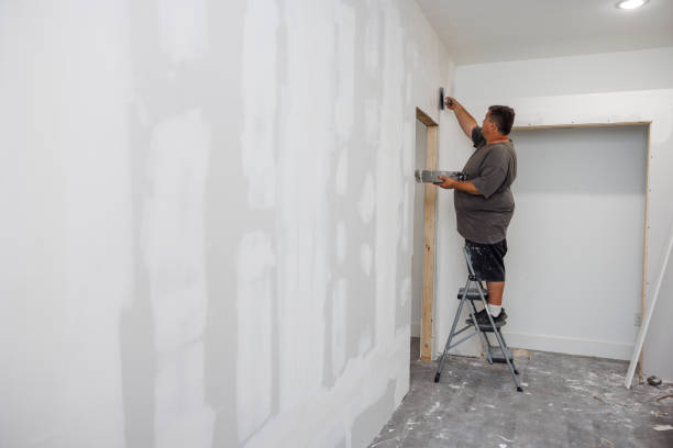 Best Forensic Mold Investigation  in Atkinson, IL