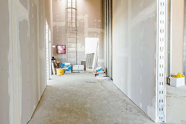 Atkinson, IL Mold Removal Company