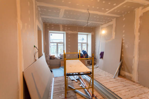 Best Emergency Mold Remediation  in Atkinson, IL